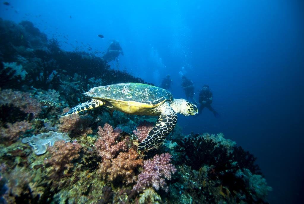 sun islad maldive5
