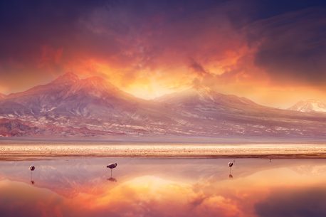 sunset-over-the-Andes-Mountains-and-Atacama-Desert-458×305